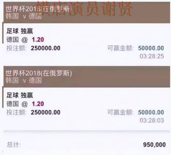 B体育世界杯投注网站大全与平台对比评测 B体育世界杯投注网站大全与平台对比评测